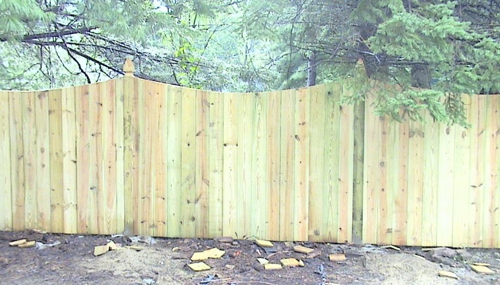 Gary's fence 2